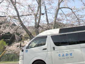 花見