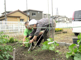 野菜の世話