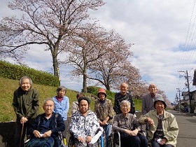 お花見