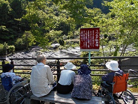 有東木